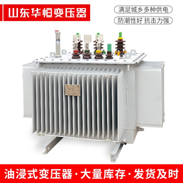 S13-10000/35启东启东启东电力变压器